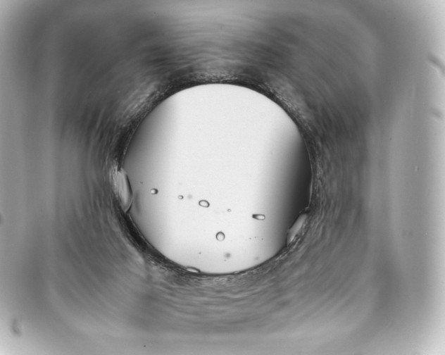 X0000095520021200712281510