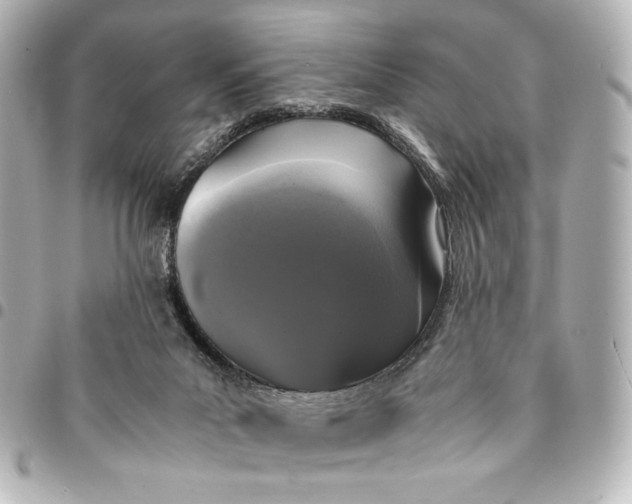 X0000095520023200712281510