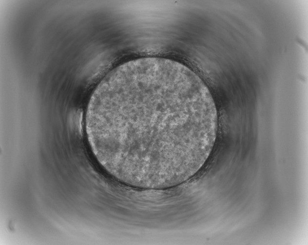 X0000095520024200712281510