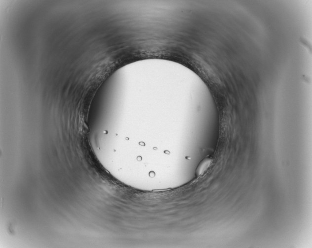 X0000095520025200712281510