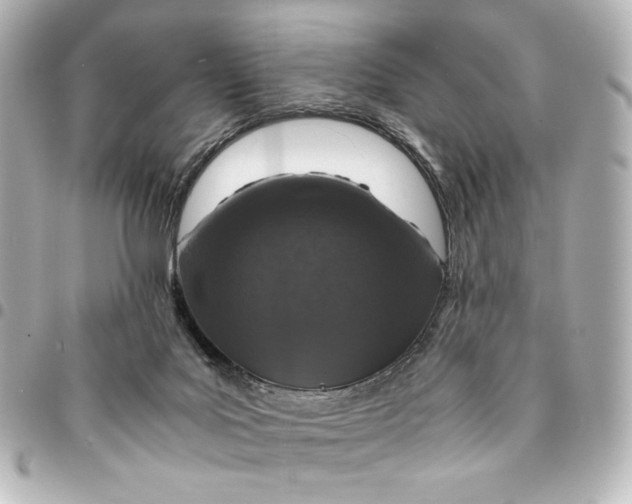 X0000095520027200712281510