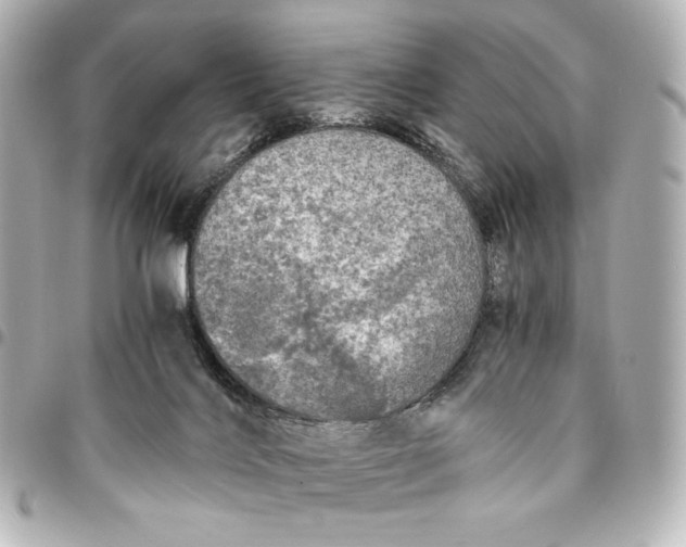 X0000095520028200712281510