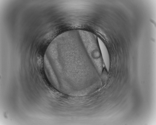 X0000095520029200712281510