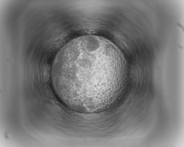 X0000095520030200712281510