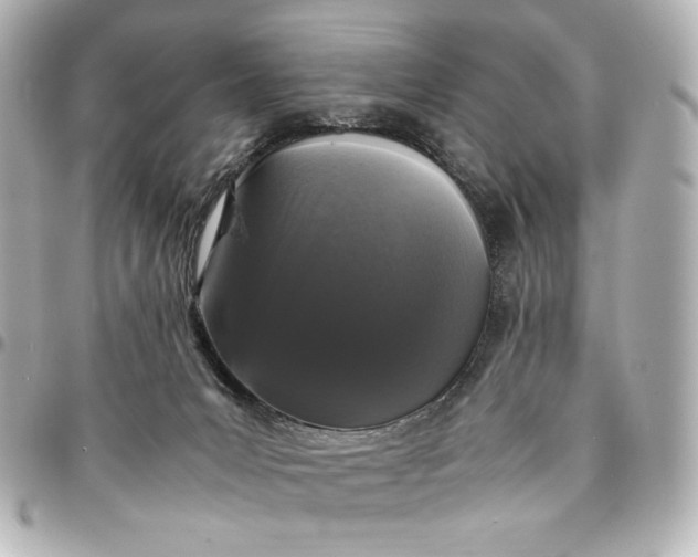 X0000095520031200712281510