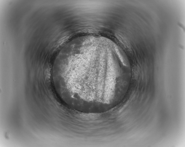 X0000095520032200712281510