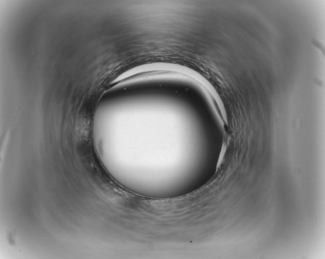 X0000095520033200712281510