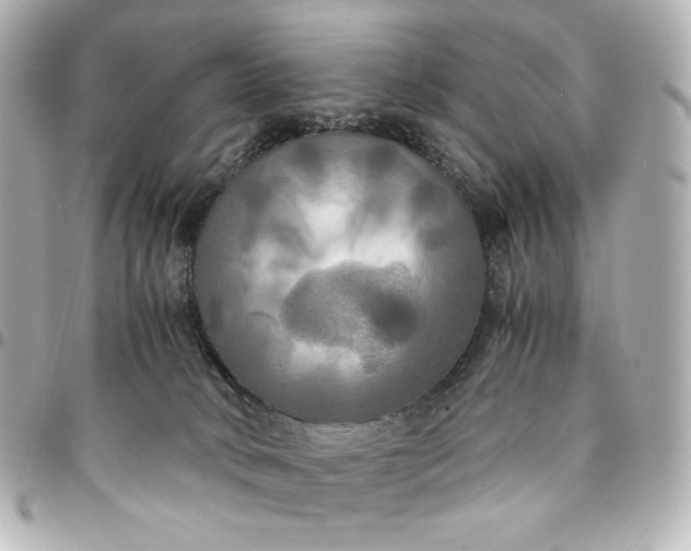 X0000095520034200712281510