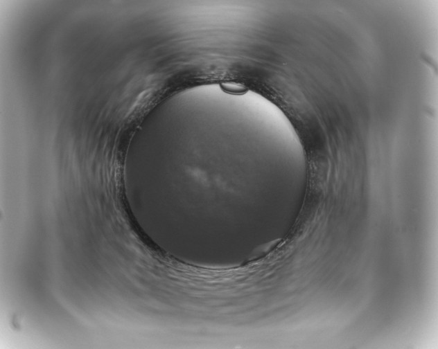 X0000095520035200712281510