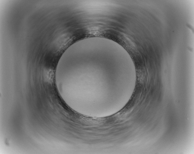 X0000095520036200712281510