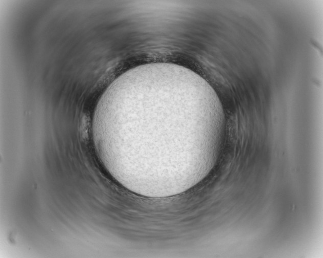 X0000095520038200712281510