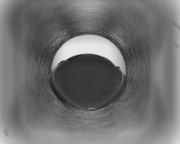 X0000095520039200712281510