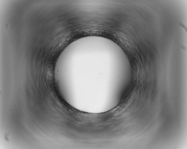 X0000095520040200712281510