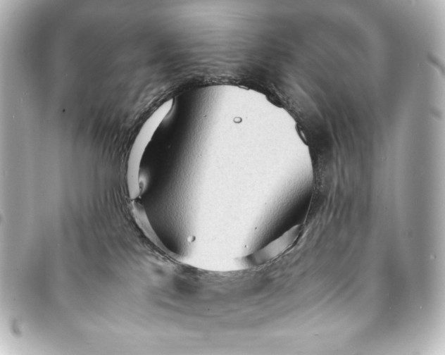 X0000095520041200712281510