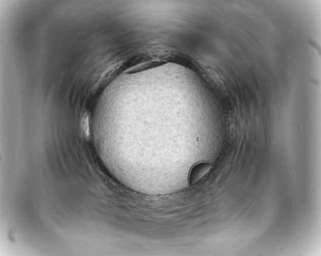 X0000095520042200712281510