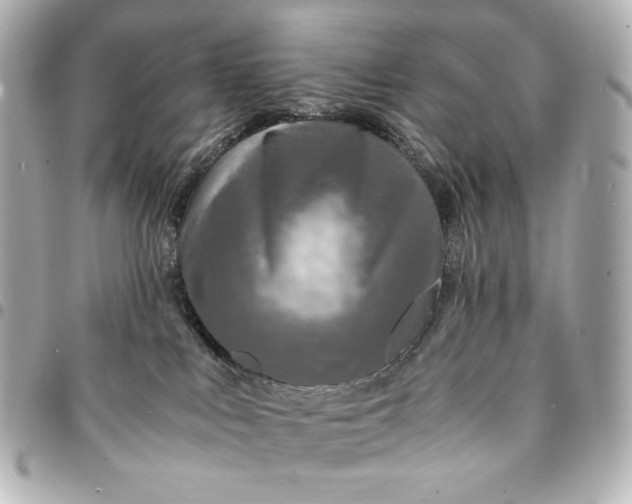 X0000095520043200712281510