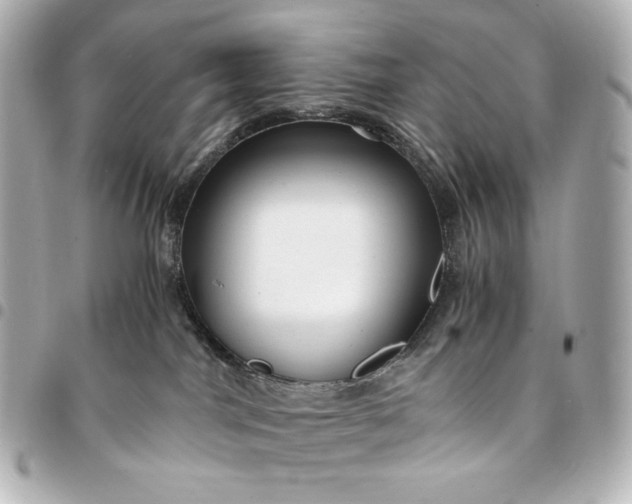 X0000095520044200712281510