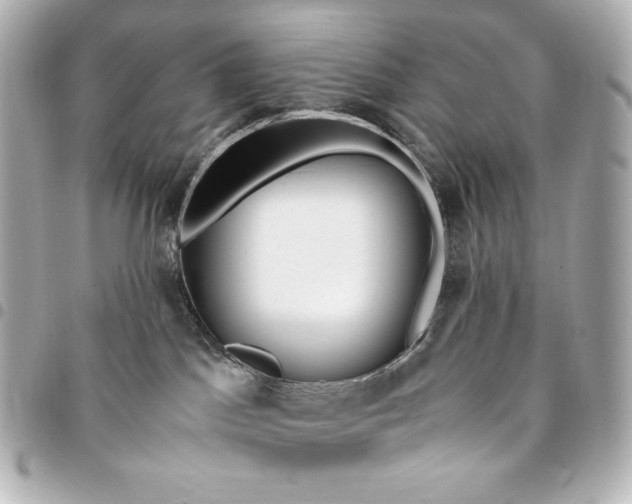 X0000095520045200712281510