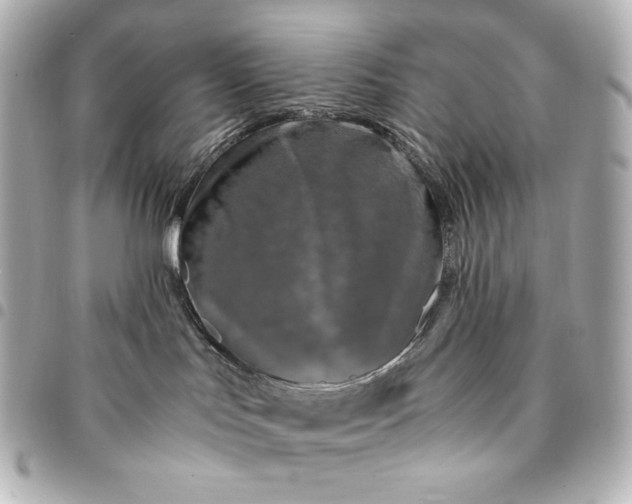 X0000095520047200712281510