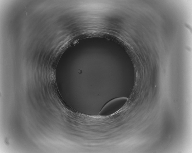 X0000095520048200712281510