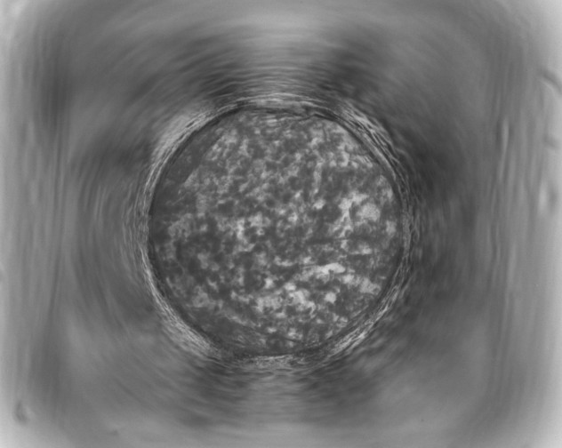 X0000095520049200712281509