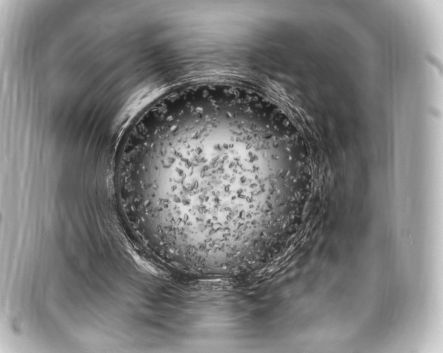 X0000095520050200712281509