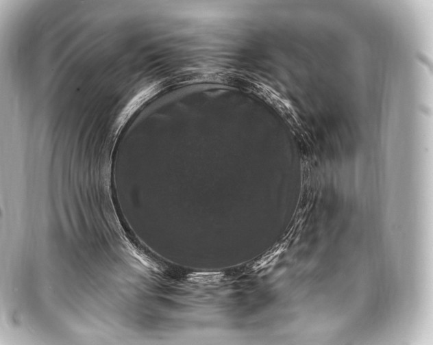 X0000095520051200712281509