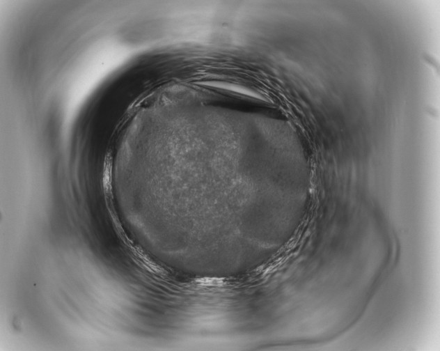 X0000095520052200712281509