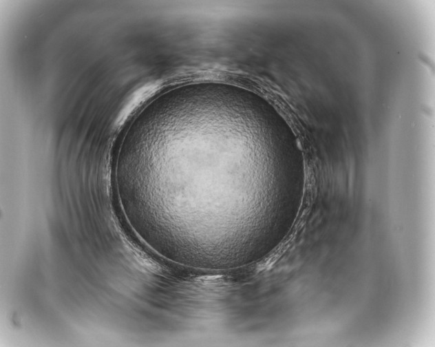 X0000095520054200712281509