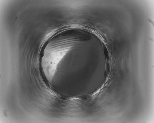 X0000095520055200712281509