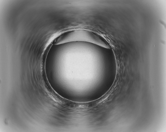 X0000095520056200712281509