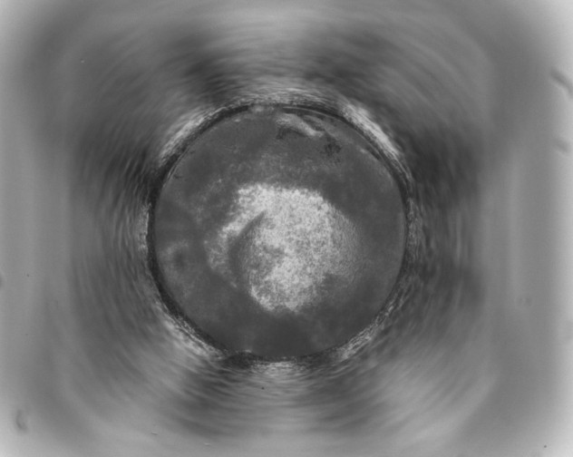 X0000095520058200712281509