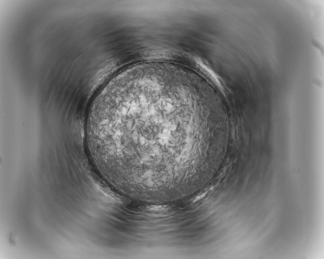 X0000095520059200712281509