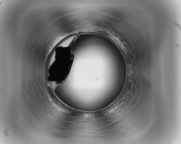 X0000095520060200712281509