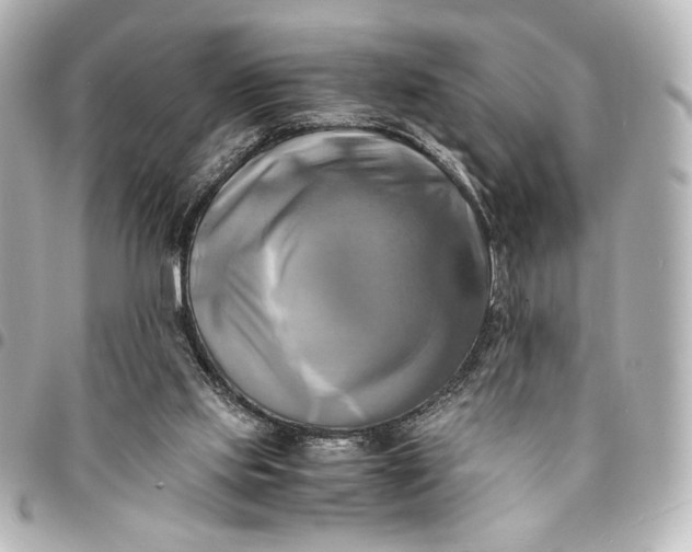 X0000095520061200712281509