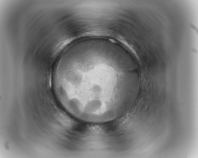 X0000095520062200712281509