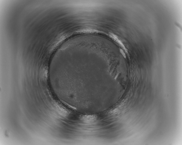 X0000095520063200712281509