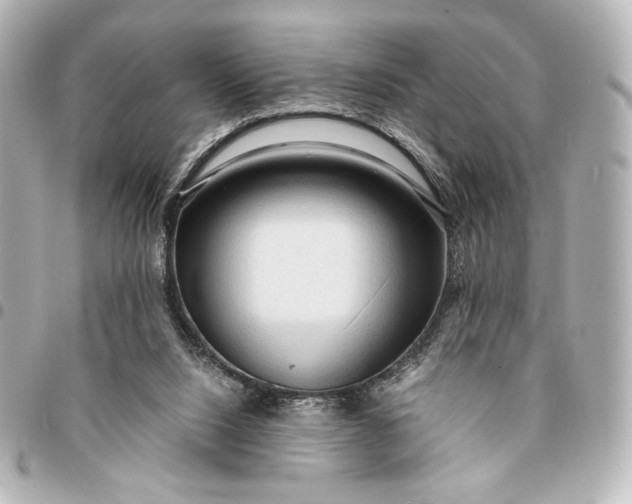 X0000095520064200712281509