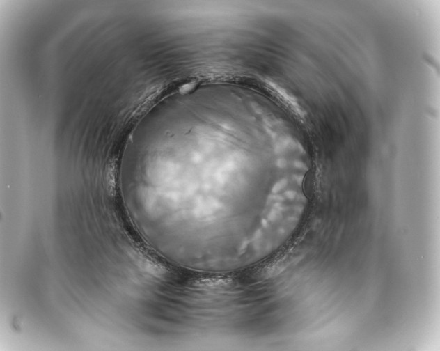 X0000095520065200712281509