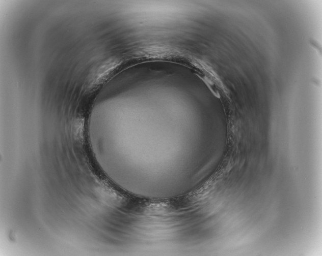 X0000095520066200712281509