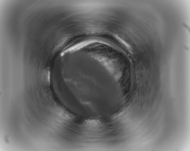 X0000095520067200712281509