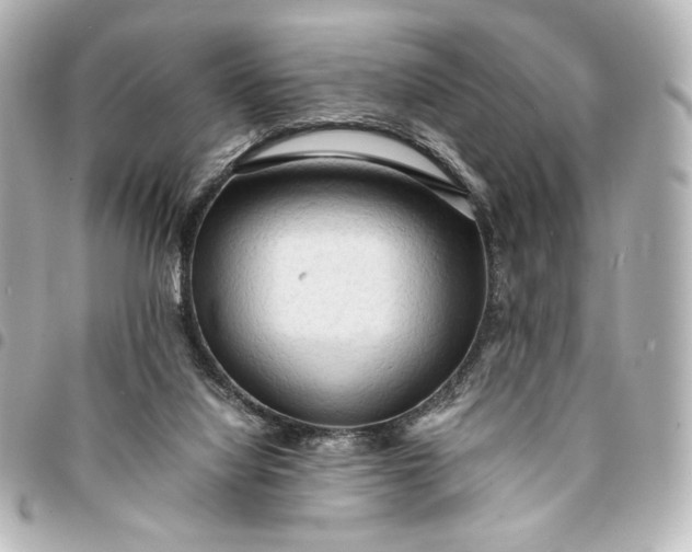 X0000095520068200712281509