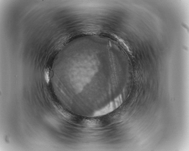 X0000095520069200712281509