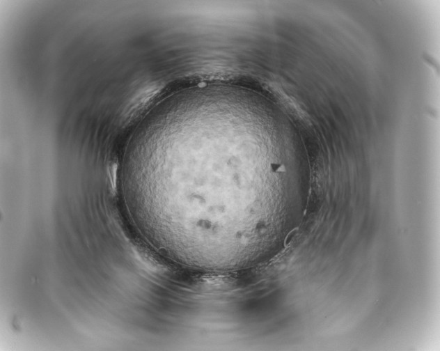 X0000095520070200712281509