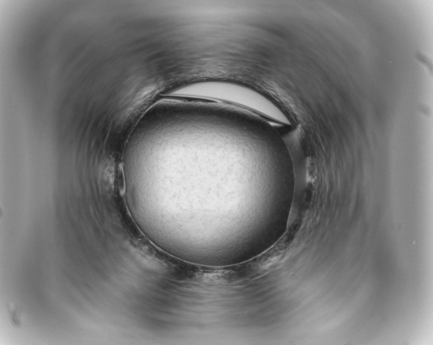 X0000095520072200712281509