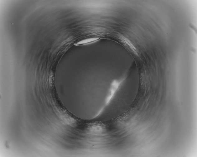 X0000095520073200712281509