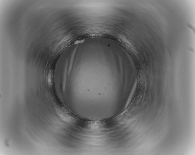 X0000095520074200712281509