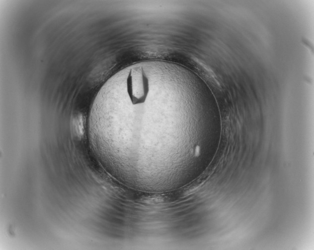 X0000095520075200712281509