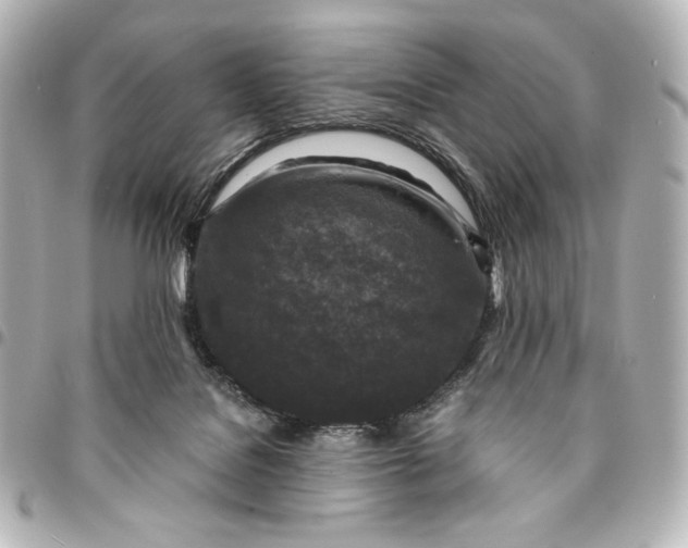 X0000095520076200712281509