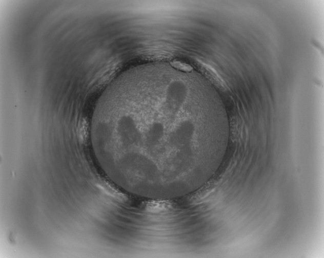 X0000095520077200712281509